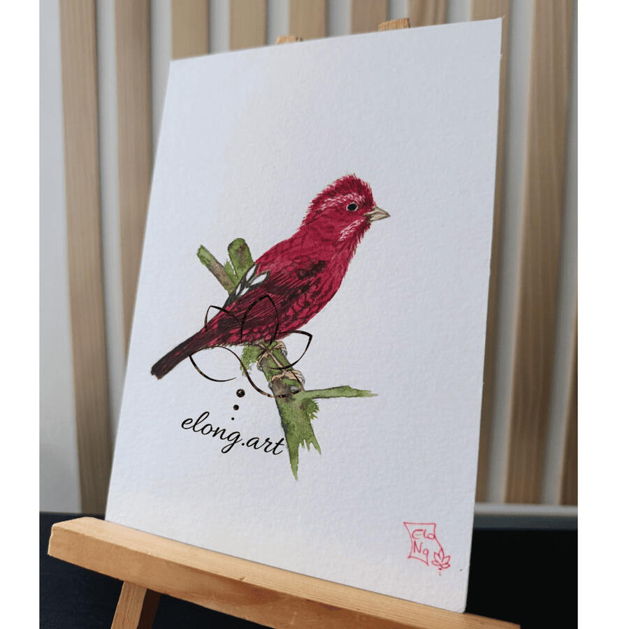 Roselin vineux - Carpodacus vinaceus