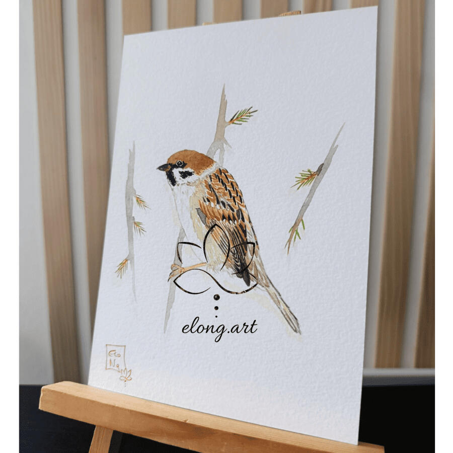 Moineau friquet - Passer montanus